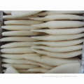 Frozen Giant Squid Todarodes Pacificus Tube High Quality